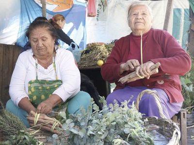 Pese a advertencias, usan remedios caseros contra el Covid