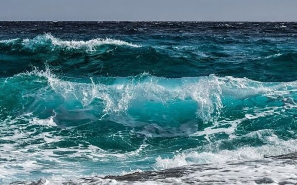 Cambio climático amenaza a los océanos, más del 50% están siendo afectados