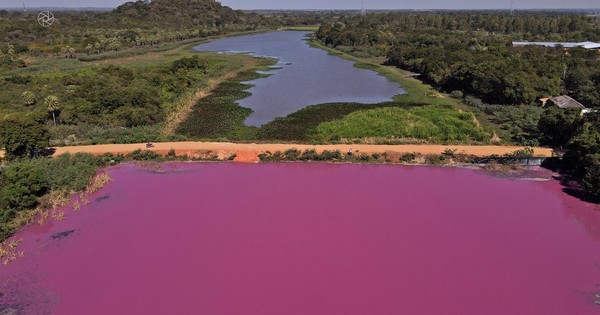 Contaminación en la laguna Cerro de Limpio - OJO Galería