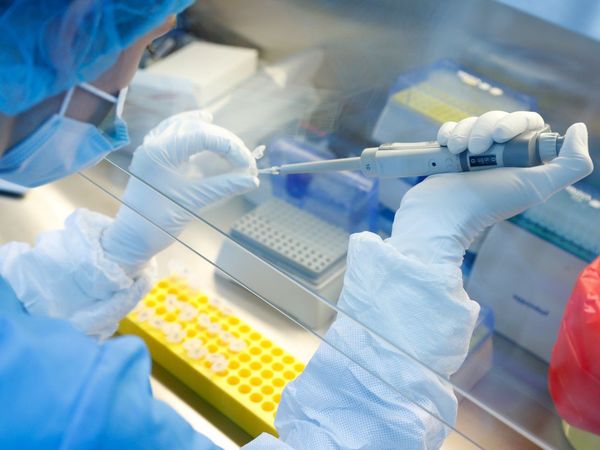 Gremios médicos advierten que Gobierno "decepcionó" y cuestionan retardo en resultados de test