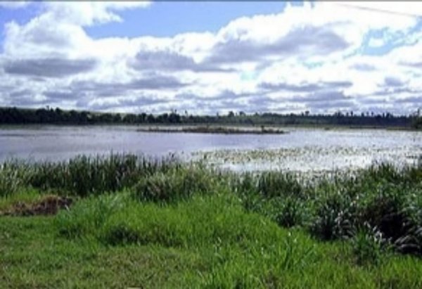 Itauguá: Encuentran cadáver en una laguna | Noticias Paraguay