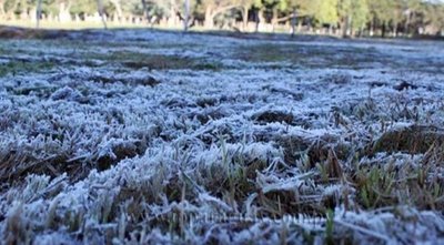 Agricultura: Heladas anunciadas para estos días generan preocupación