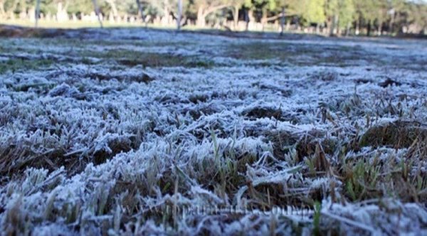 Agricultura: Heladas anunciadas para estos días generan preocupación