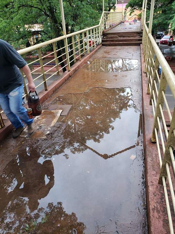 VIADUCTOS abandonados por la COMUNA son CRIADEROS de mosquitos