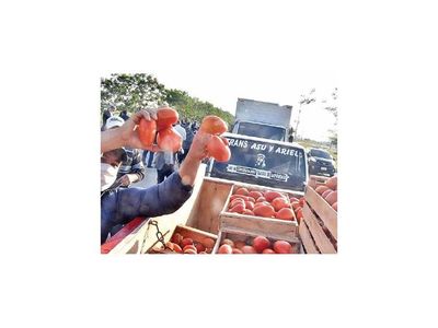 Agricultores dicen que están siendo muy perjudicados por los productos ilegales