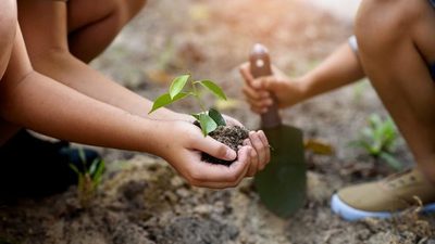 Impulsan conciencia medioambiental ante altos índices de deforestación