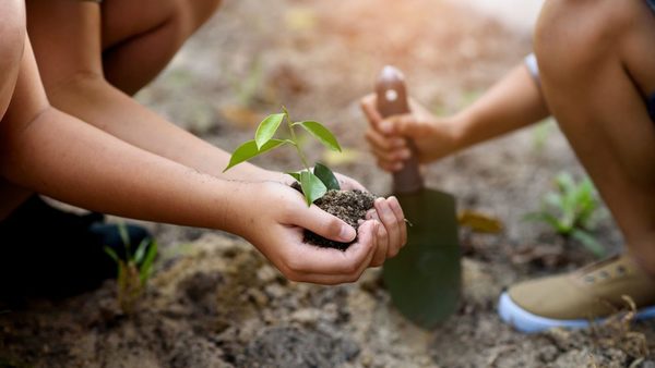 Impulsan conciencia medioambiental ante altos índices de deforestación