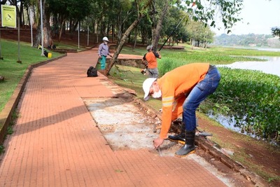 Segunda etapa de trabajo de iluminación del Lago
