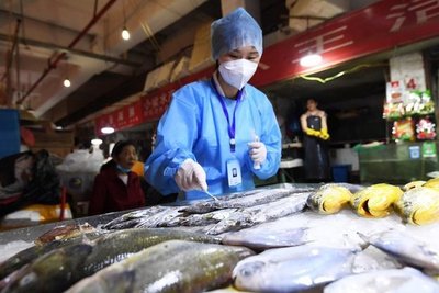 China rechazó productos congelados importados desde Sudamérica tras hallar coronavirus - ADN Paraguayo