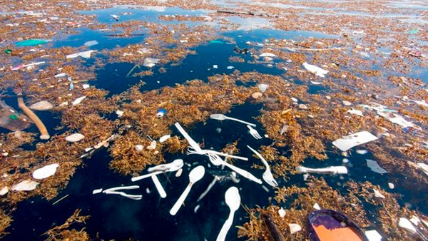 La cantidad de plástico en el Atlántico es unas 10 veces mayor de lo estimado » Ñanduti