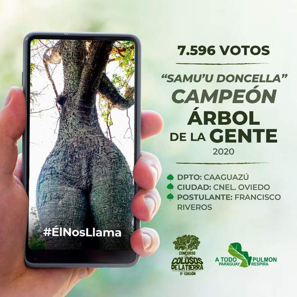 EL SAMU'U DONCELLA YA ES EL 'ÁRBOL DE LA GENTE