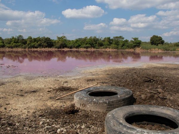 "Un joven entró al lago y casi terminó sin piernas"