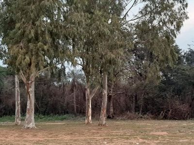 Ita Ybate: Patrimonio Cultural en riesgo por desmonte y urbanización