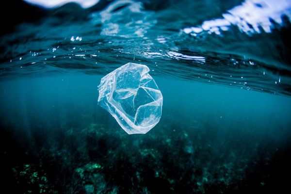 Cantidad de plástico en el Atlántico es 10 veces mayor de lo estimado  - Ciencia - ABC Color