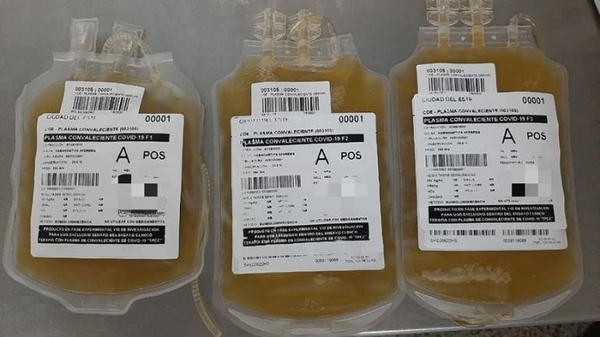 HOY / Dos pacientes con COVID-19 reciben transfusión de plasma y se convierten en las primeras en Alto Paraná