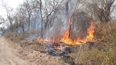 Buscan utilizar avionetas decomisadas para combatir incendios