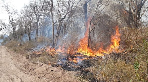 Buscan utilizar avionetas decomisadas para combatir incendios