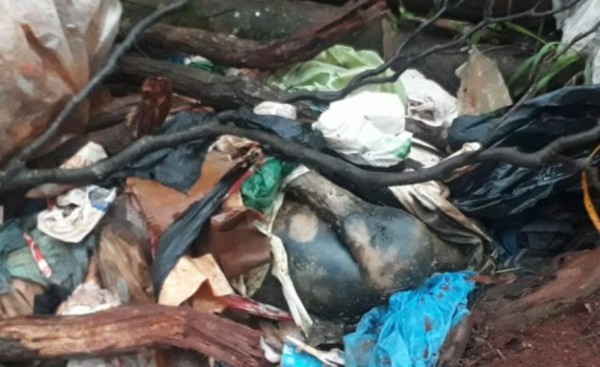 Cadáver putrefacto es hallado en zanja al costado de la Avda. San Blas