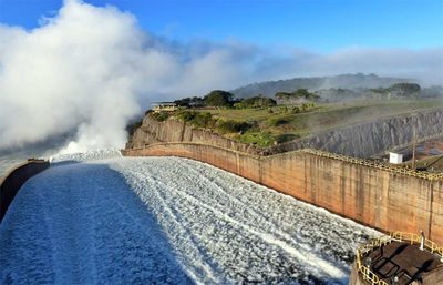 Miles de granos soja varados pudieron salir del país