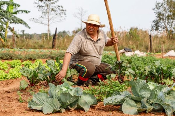 Marito reglamenta ley que fortalece a la agricultura familiar campesina