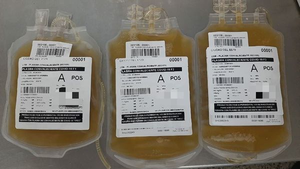 Dos pacientes con Covid ya son las beneficiadas con transfusión de plasma