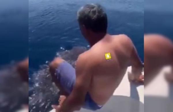 El polémico video de un hombre que salta encima de un tiburón ballena y lo monta agarrado de su aleta dorsal - SNT