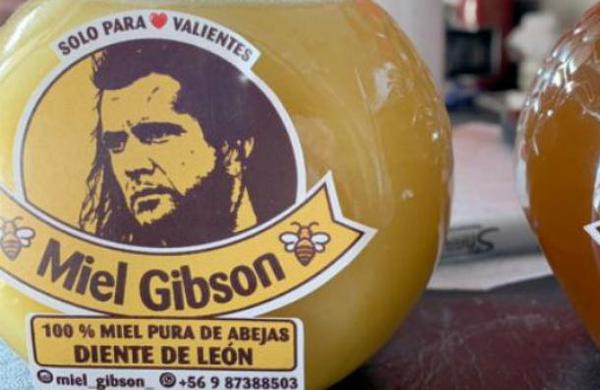Habla la creadora de 'Miel Gibson': 'Me complicaba obtener dinero para pagar la luz' - C9N