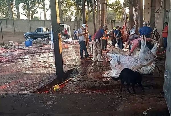 Imputan al intendente José C. Acevedo por crimen contra el medio ambiente