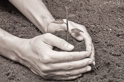 Brasil anuncia plan de digitalización agrícola con apoyo de nobel de economía - Tecnología - ABC Color