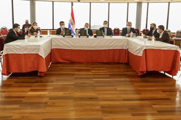 Bicameral presentó informe final del metrobús ante Congreso - Nacionales - ABC Color