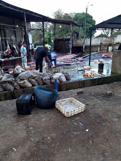 PJC: Imputan a un hombre por irregularidades detectadas en el matadero municipal » Ñanduti