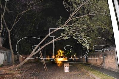Fuertes vientos ocasionaron caída de árbol que quedó bloqueando el paso en Villa Morra - Nacionales - ABC Color