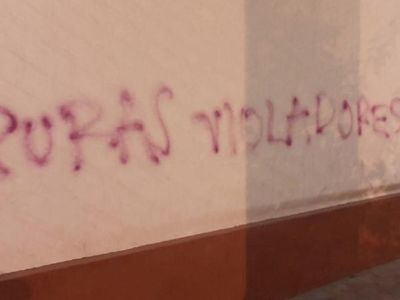 Piden que se investiguen los atropellos  contra la Catedral