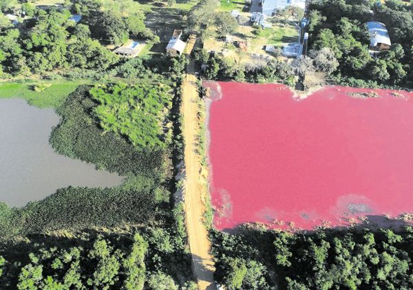 Laguna tiene sales para conservación de cuero - Nacionales - ABC Color