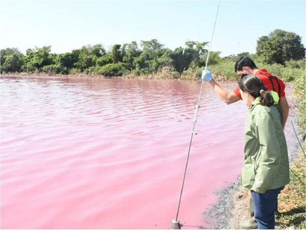 Contaminación de laguna Cerro es por químicos para conservar cuero