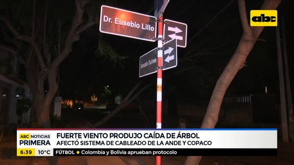 Fuerte viento produjo caída de un árbol - ABC Noticias - ABC Color