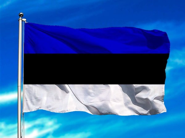 Papelón de Cancillería: dibujan bandera de Estonia con paint - El Trueno