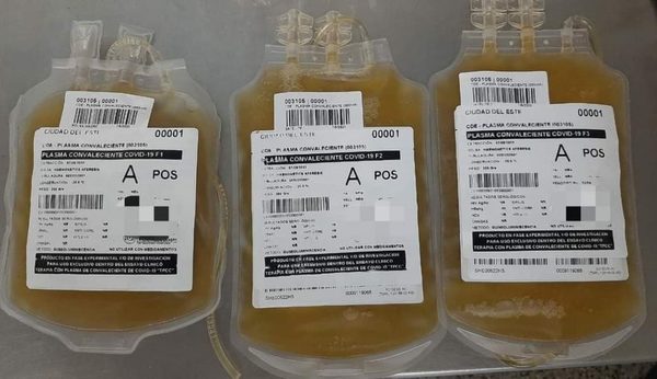 Primeras transfusiones de plasma convaleciente en Ciudad del Este – Diario TNPRESS