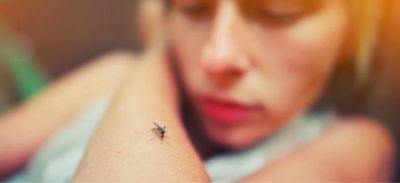 Dengue está latente en Ayolas por alto índice larvario - Nacionales - ABC Color