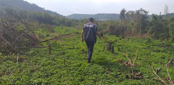 Intervienen propiedad por destrucción de área boscosa nativa en los límites de la Reserva del Ybytyruzú » Ñanduti