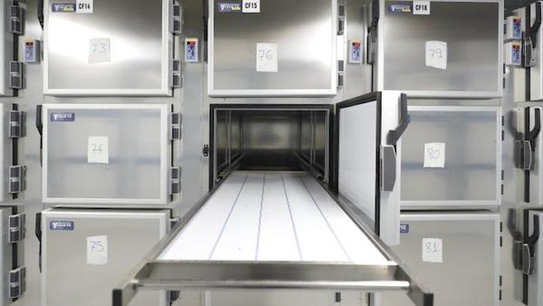 Abuelita “resucitó” en la morgue de hospital | Crónica
