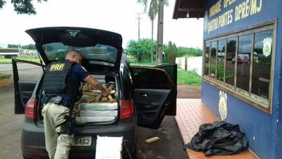 Cae 500 kilos de marihuana en la frontera