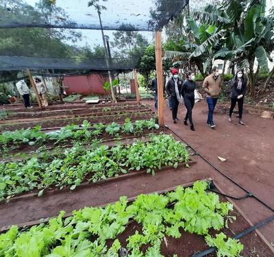 Pretenden llevar a cabo proyecto de huertas comunitarias