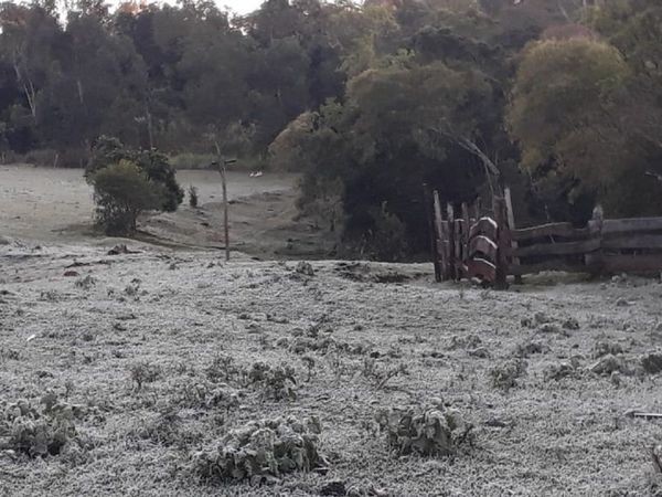 Heladas, escarchas y temperaturas bajo cero en el centro y Sur del país