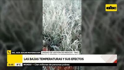 Zona sur y centro del país, las más afectadas por las heladas - ABC Noticias - ABC Color