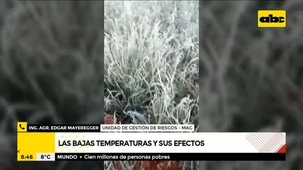 Zona sur y centro del país, las más afectadas por las heladas - ABC Noticias - ABC Color