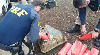 Hallan 11 kilos de marihuana en tanque de auto