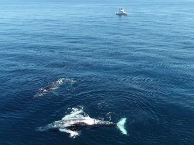 Los océanos serán claves para asegurar el abastecemiento mundial
