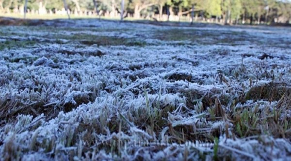 Bajas temperaturas podrían afectar los cultivos, advierten desde el MAG » Ñanduti