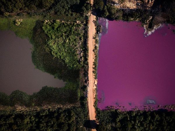 Conaderna exige reparación de daño ambiental al Cerro Lago